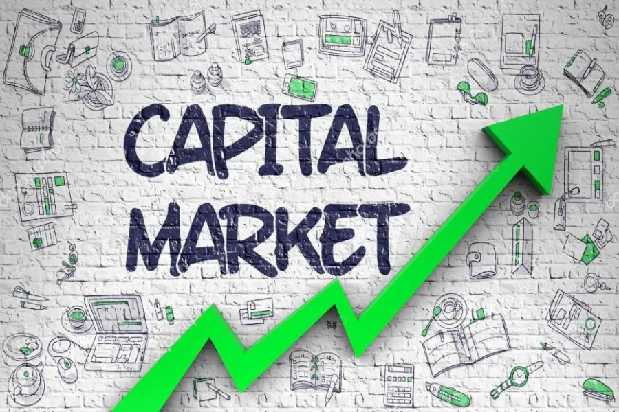 Capital Market