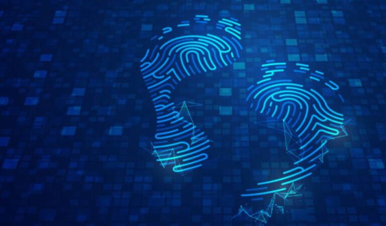 Digital Footprint and Identity Theft