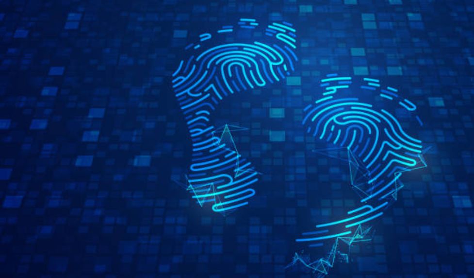 Digital Footprint and Identity Theft