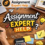 Business environment assignment help