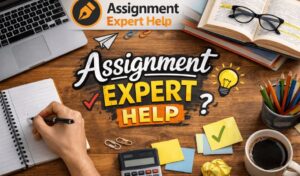 Business environment assignment help
